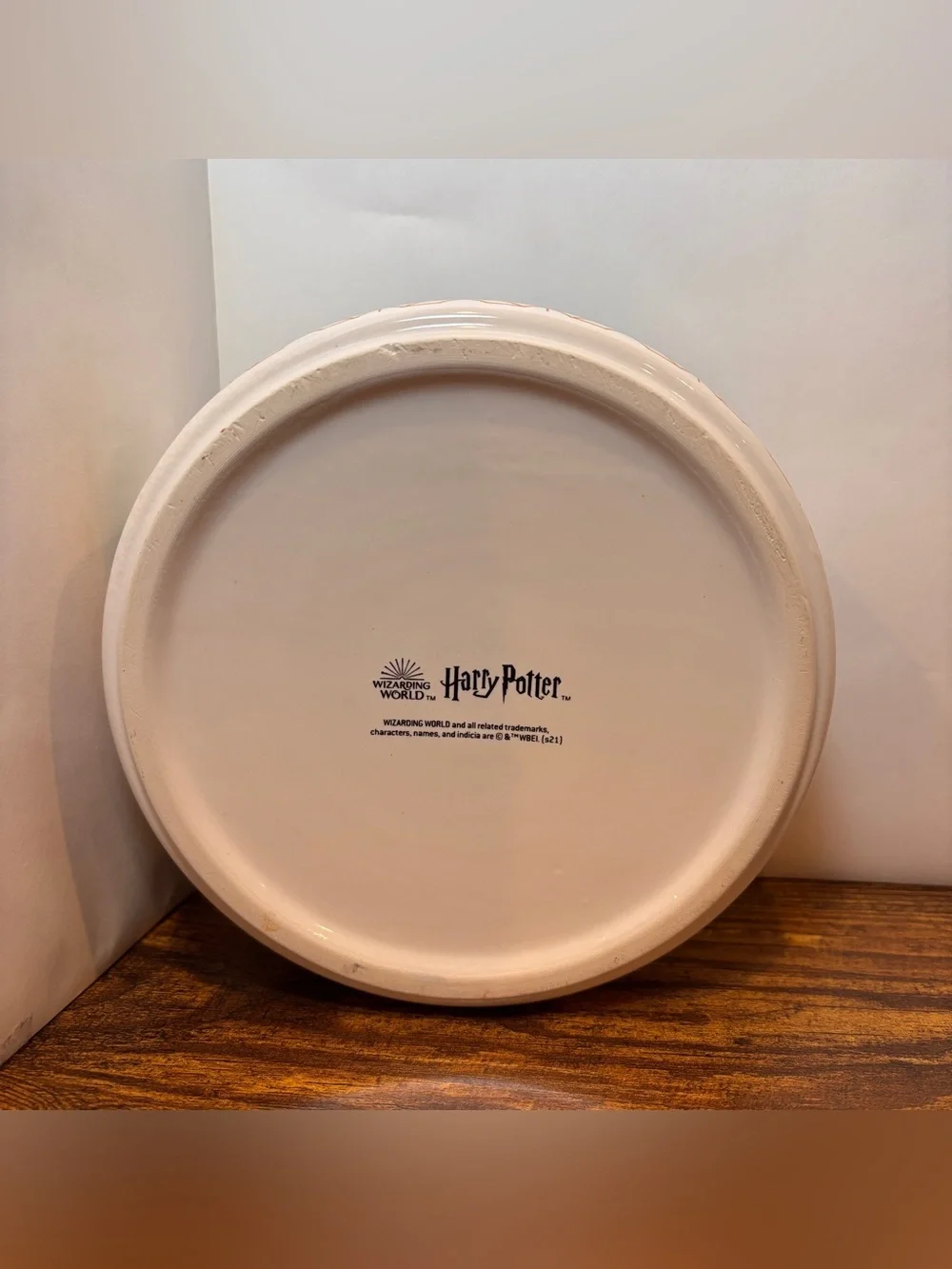 Harry Potter Slytherin Bowl Ceramic Pet Bowl for Dogs & Cats
